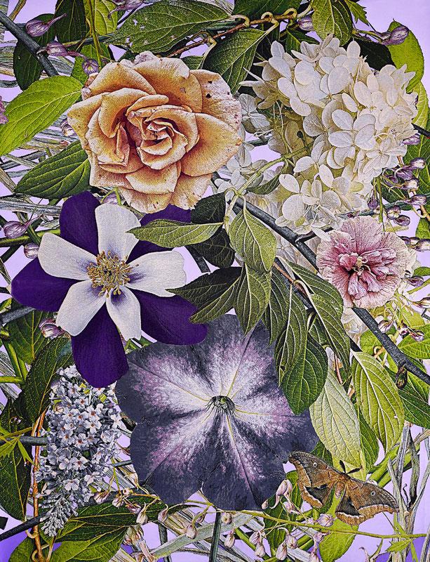 Carlsen-Rogers-Glimmer-Twilight