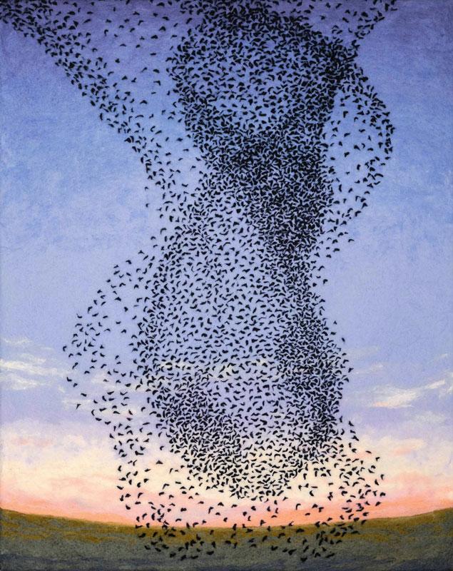 Ives-Murmuration