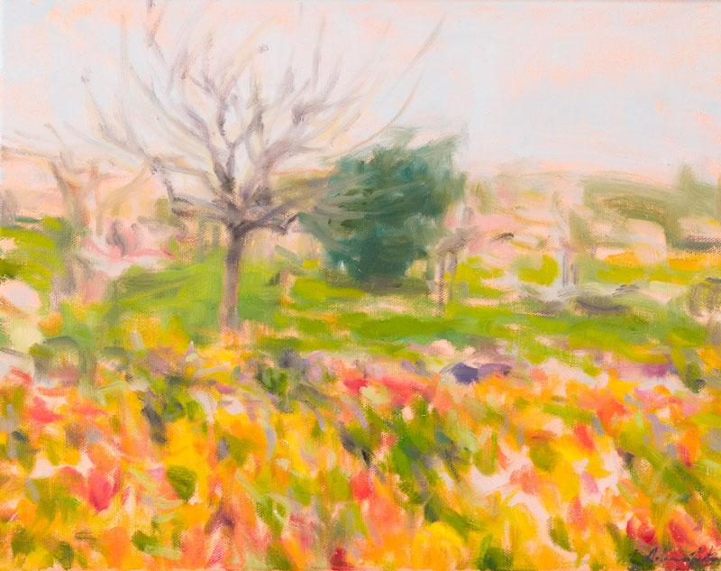Justus-Spring-Garden